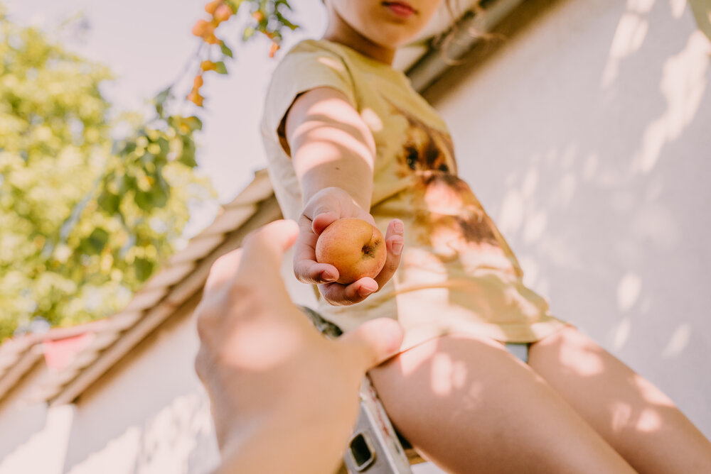 girl holding an apple with a yellow shirt on a ladder